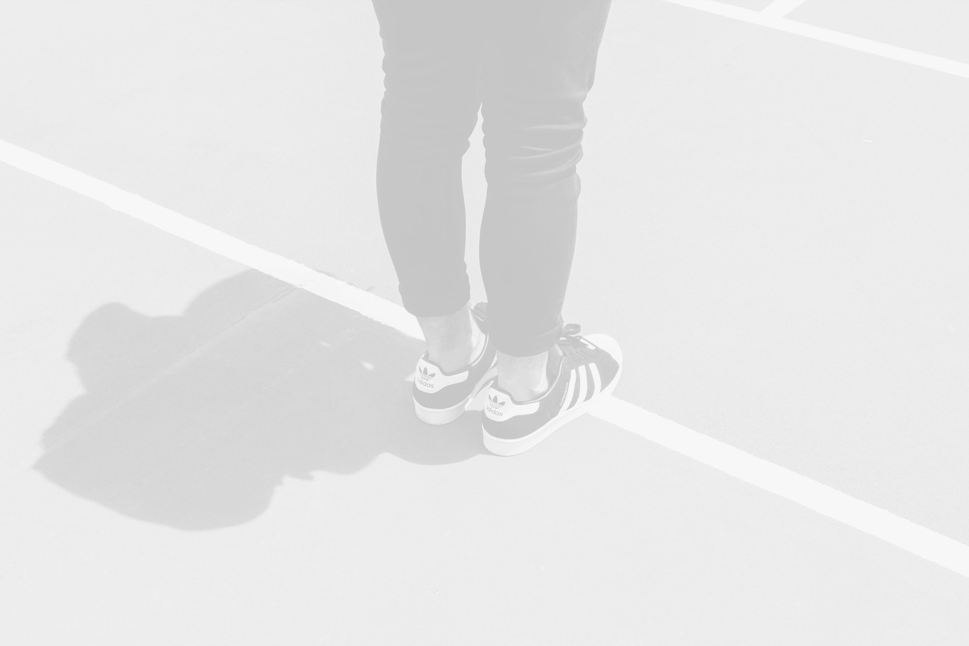 Centered Gallery Full-Width