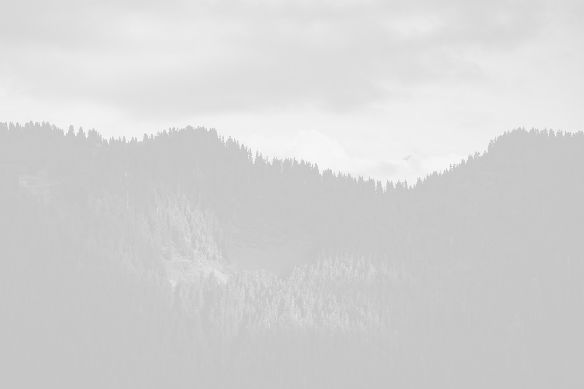 Sidebar Gallery Full-Width