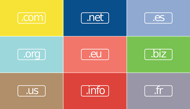 Web Hosting Services and Domain Names