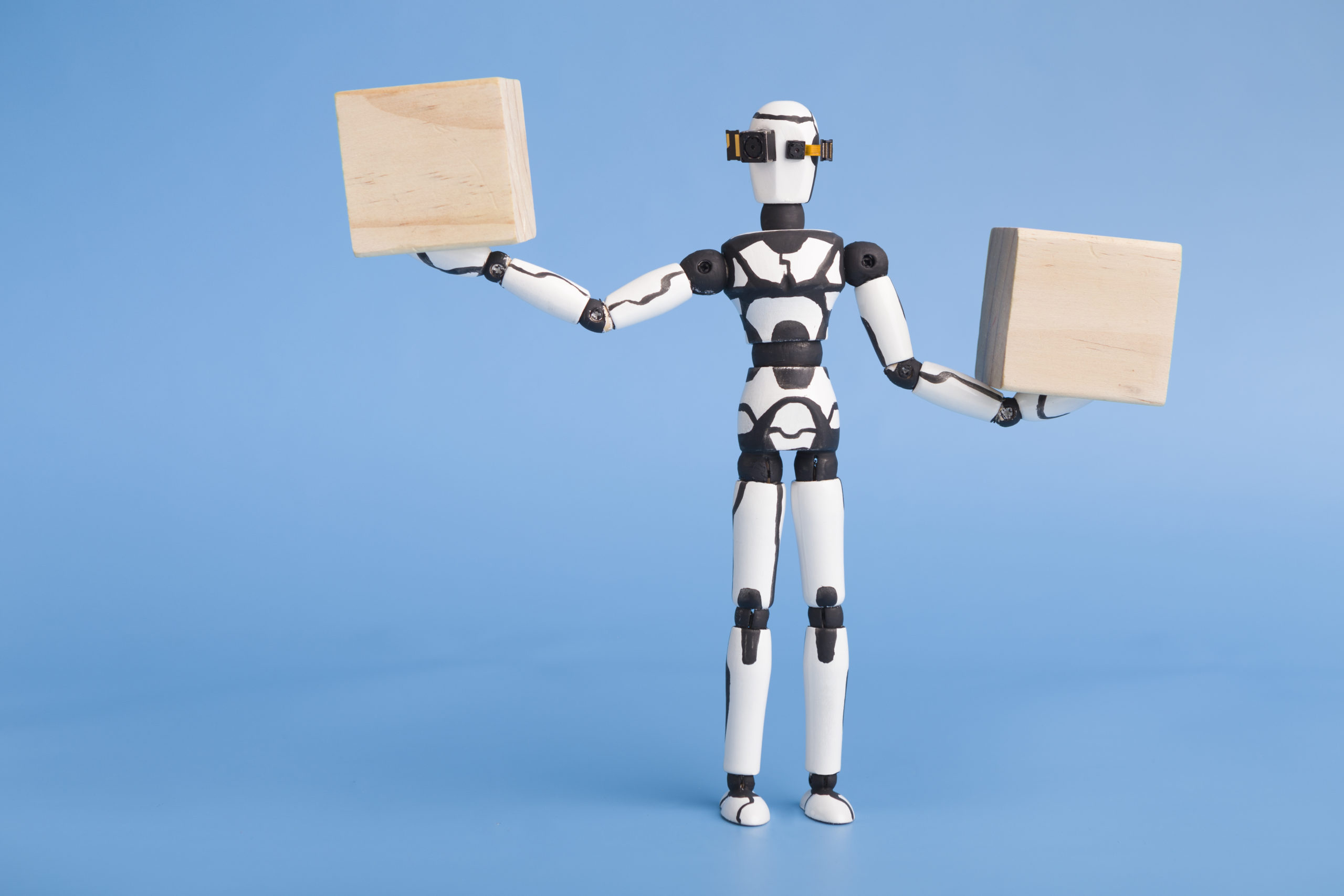 What is a Bot?