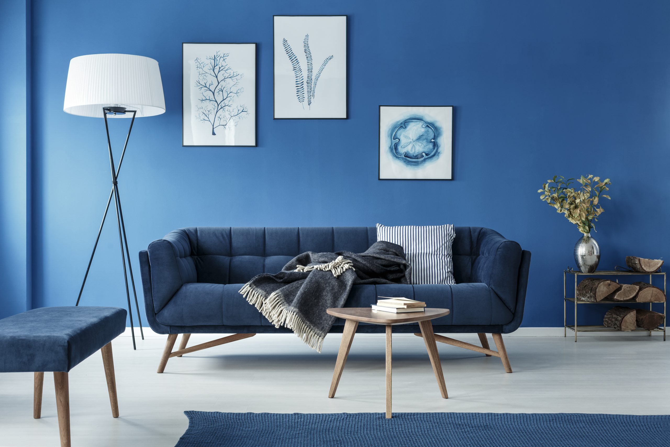 Web Design Success Story: Palacios Painting