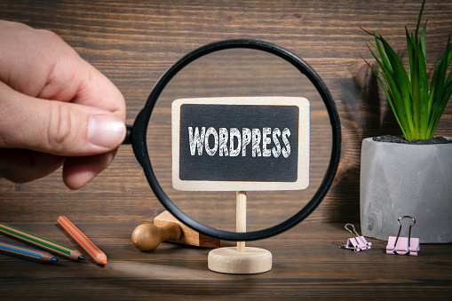Should You Use WordPress for Your Website?